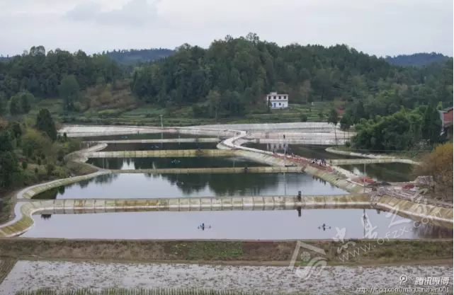 gdp增速_2015莆田乡镇gdp